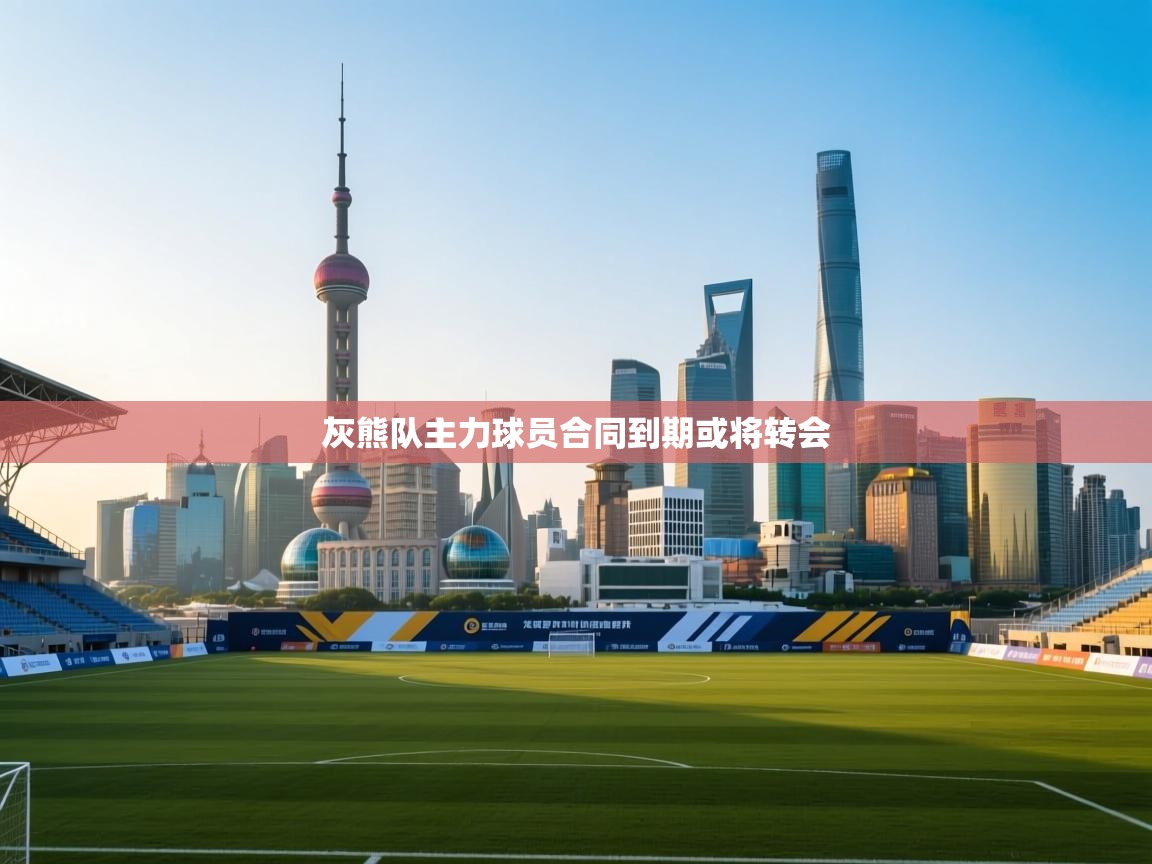 灰熊队主力球员合同到期或将转会