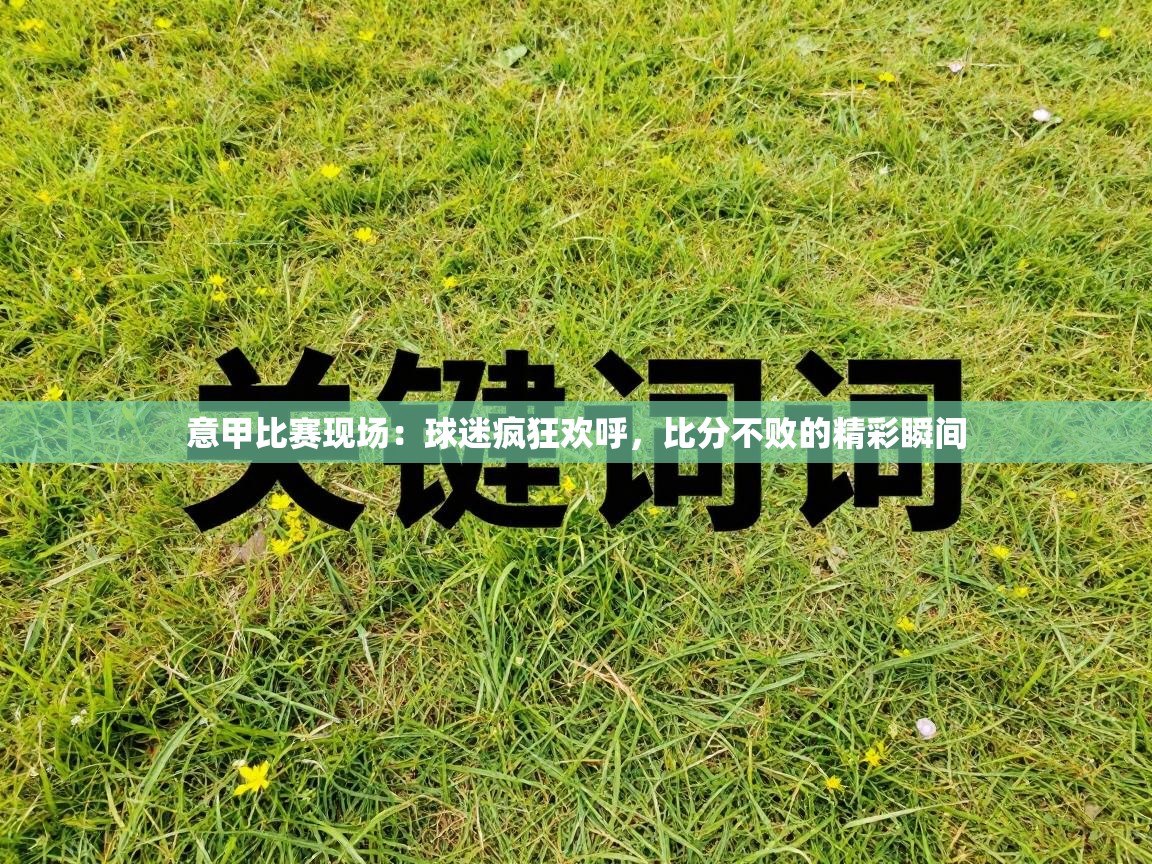 意甲比赛现场：球迷疯狂欢呼，比分不败的精彩瞬间